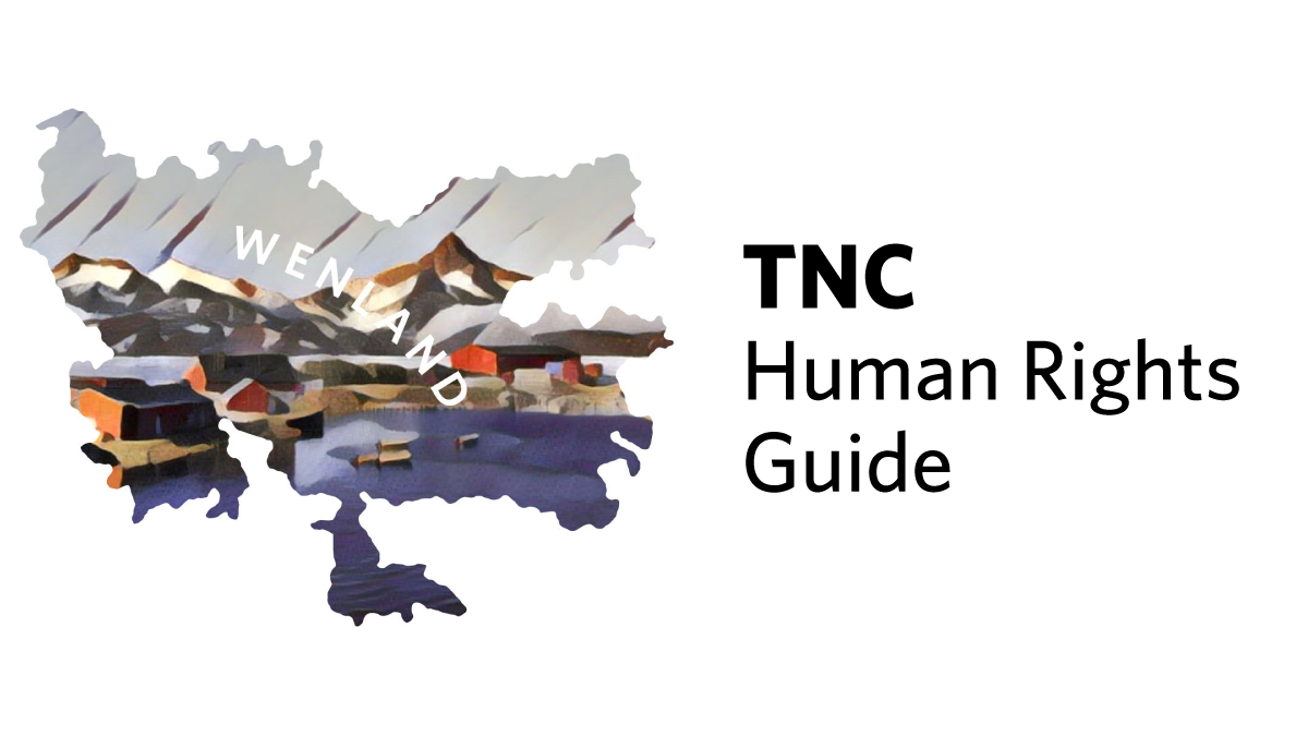 china tnc case study